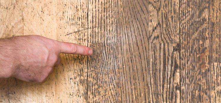 Wood Door Scratch Repair in La Habra Heights